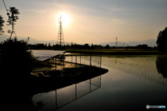夕暮れの田んぼとメガソーラー