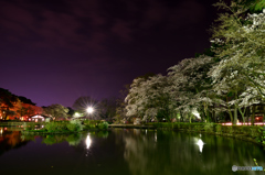 美しい夜