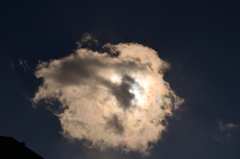 生きる雲
