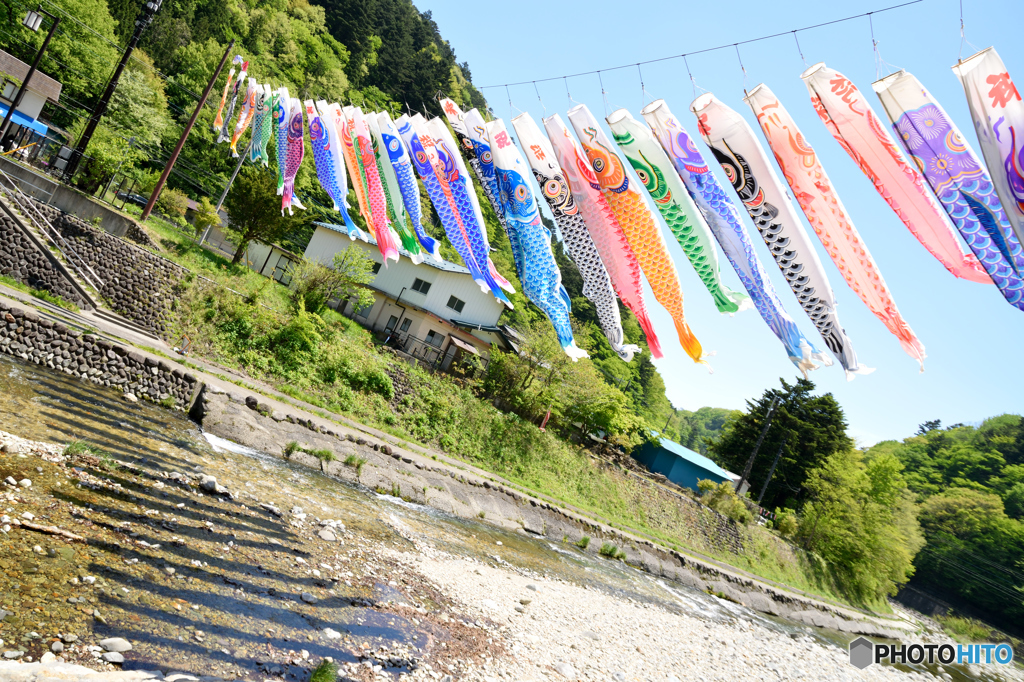 板室の鯉のぼり