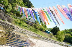 板室の鯉のぼり