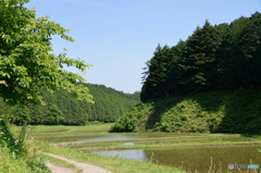 田んぼへの入口