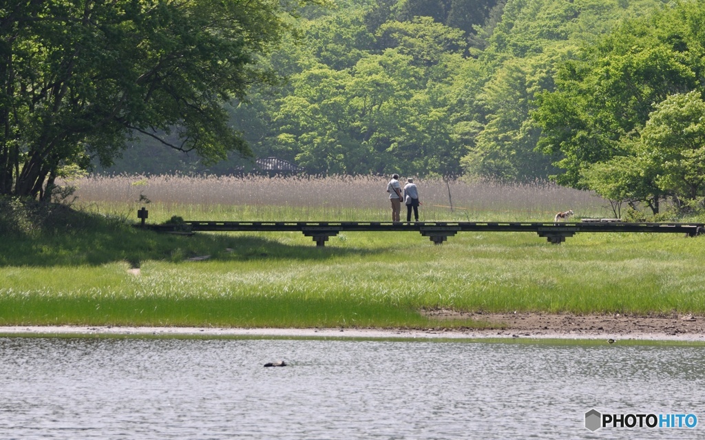 夫婦----------と犬