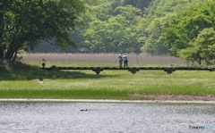 夫婦----------と犬