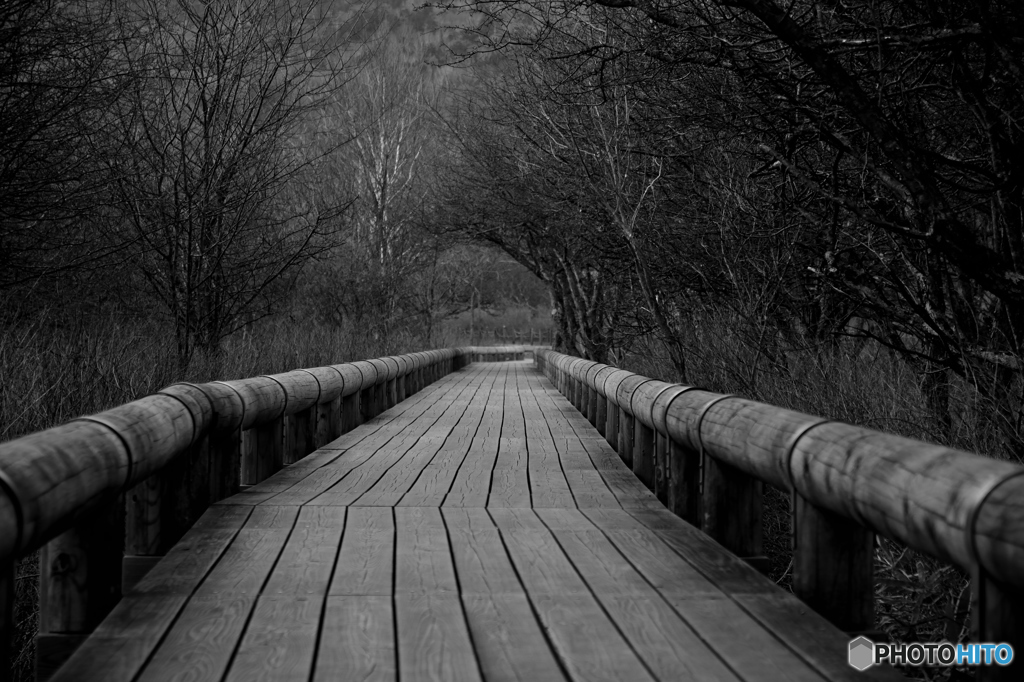 戦場ヶ原　ハイキング！