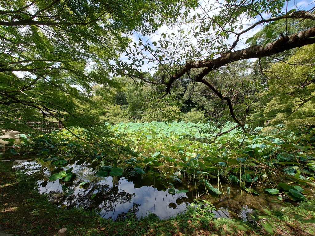 京都府立植物園