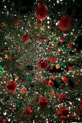 Christmastree@Ebis Garden Place