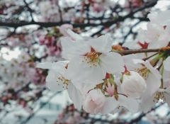 20160406_115958