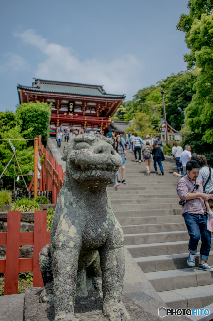 鶴岡八幡宮