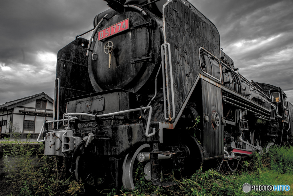 D51