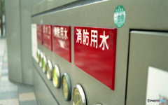 なんとなく、並んだ。