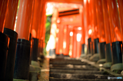 朱色の道