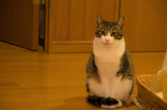 お行儀