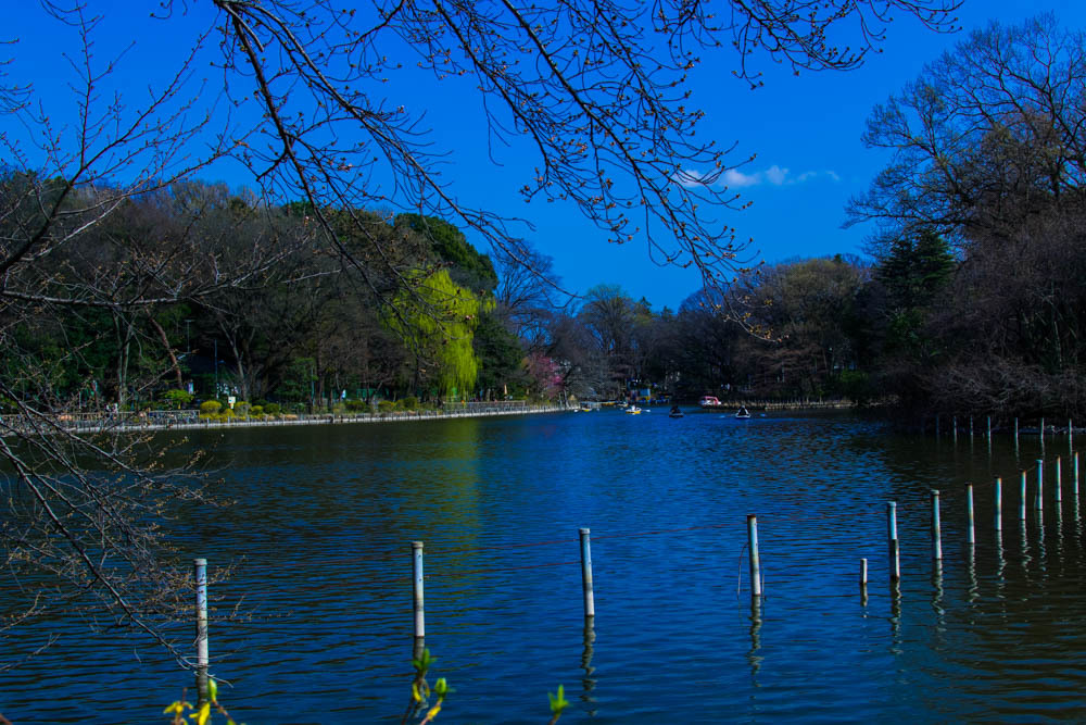 公園