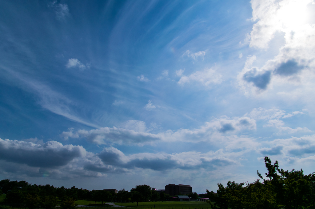 武蔵野の森公園の空