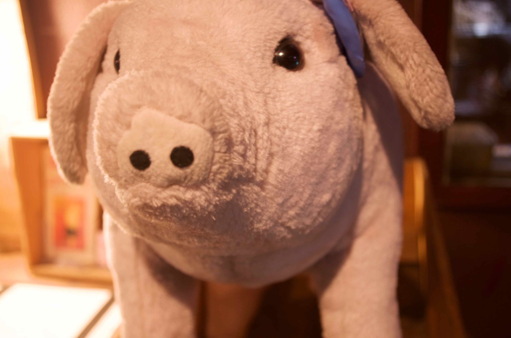 Another Pig