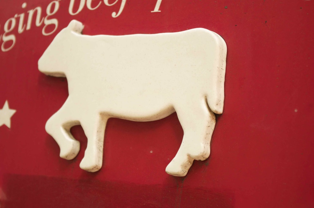 Cow