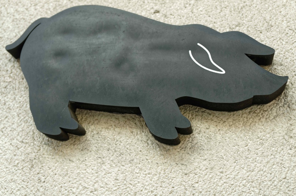Pig