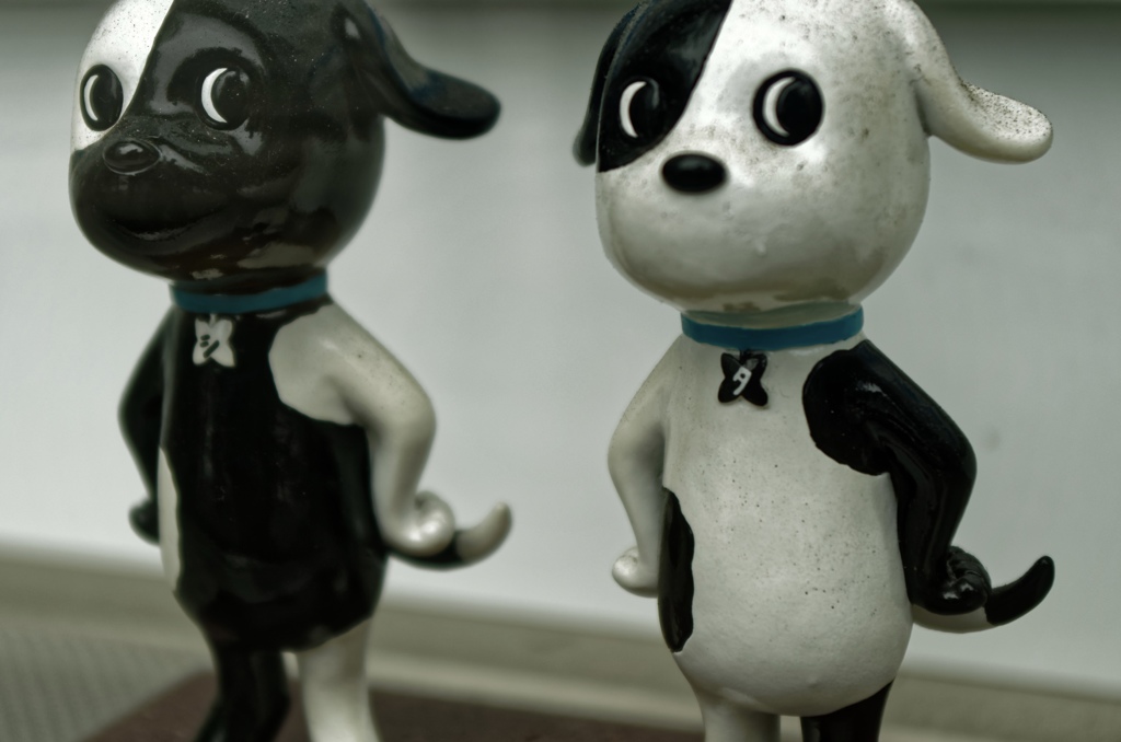 Dogs