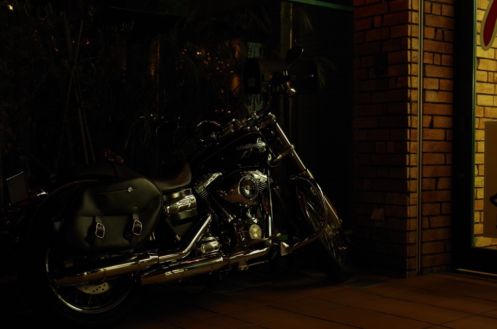 Iron horse in dark