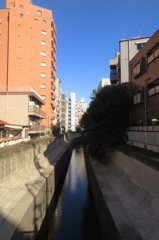都会の川4
