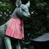 豊川稲荷神社を目指す日 その8