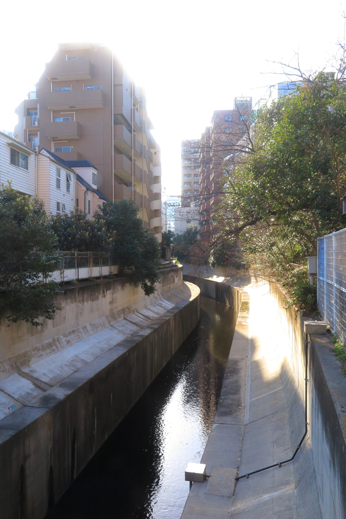 都会の川3