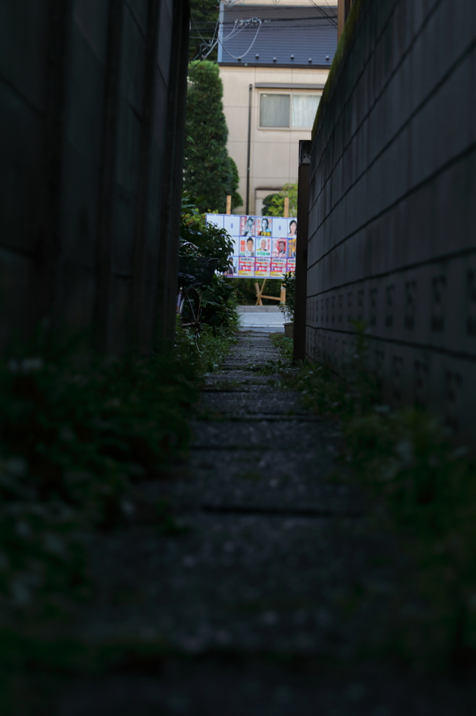 子どもの道
