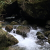 檜原村 その17