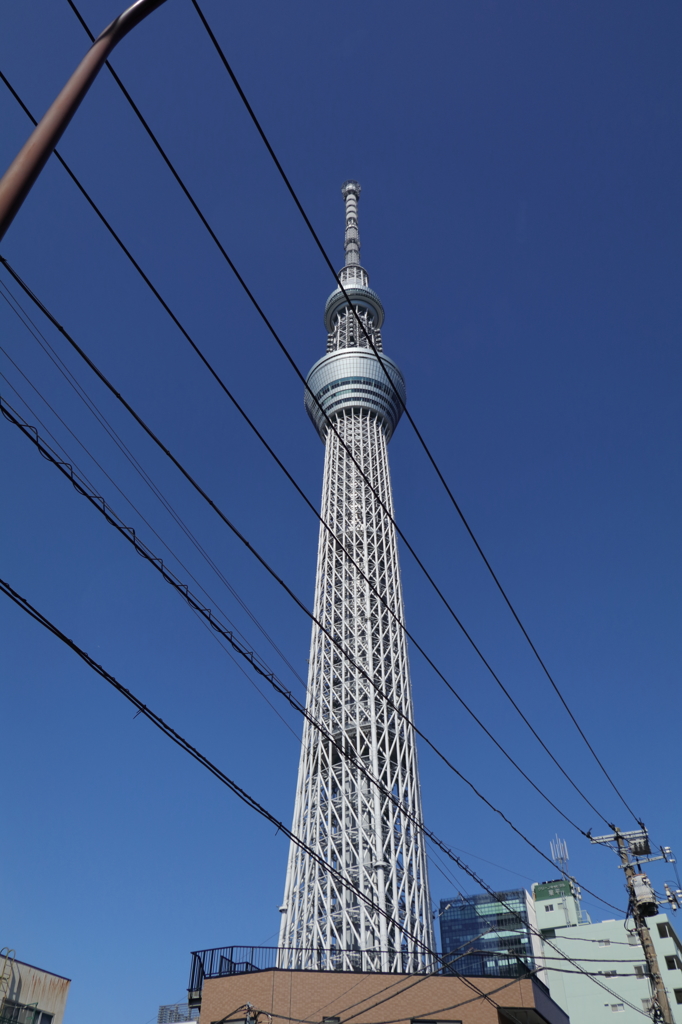 スカイツリー その1