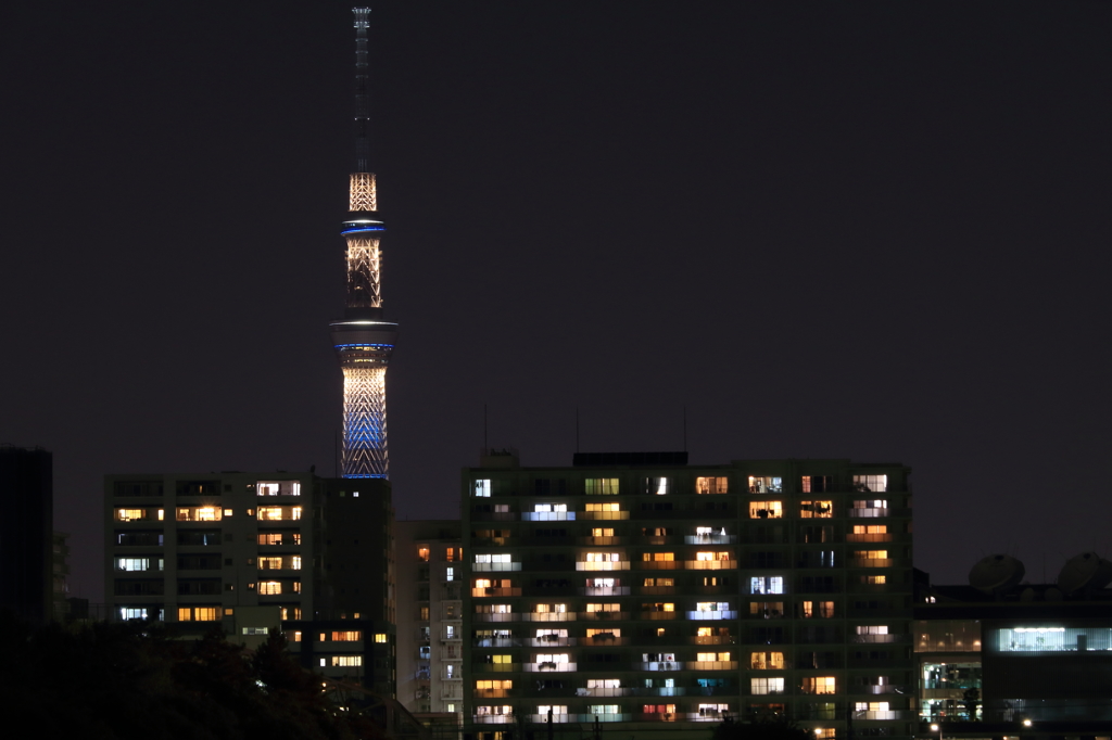 橋の上の景色　その２