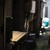 夏らしくなってきた その2