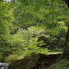 檜原村 その18
