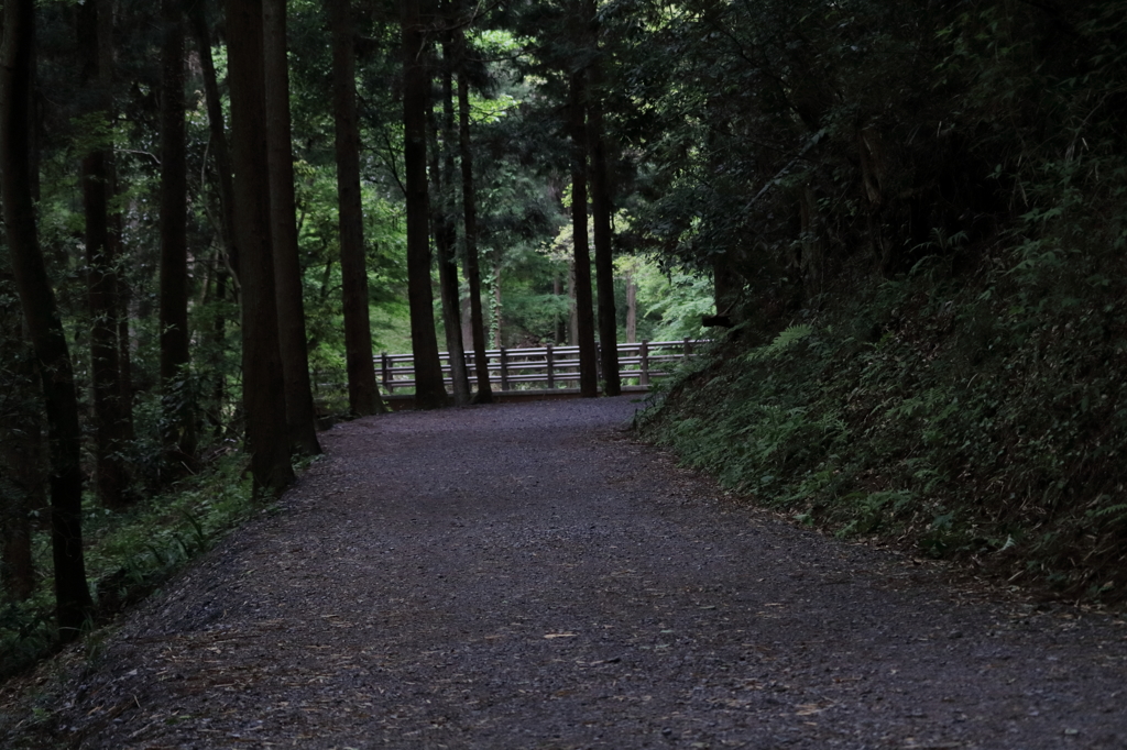 御主殿跡地 その5