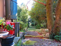 親父が子どもの頃にいた場所2