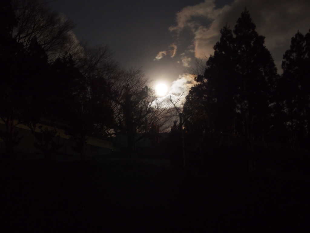 2015最後の月