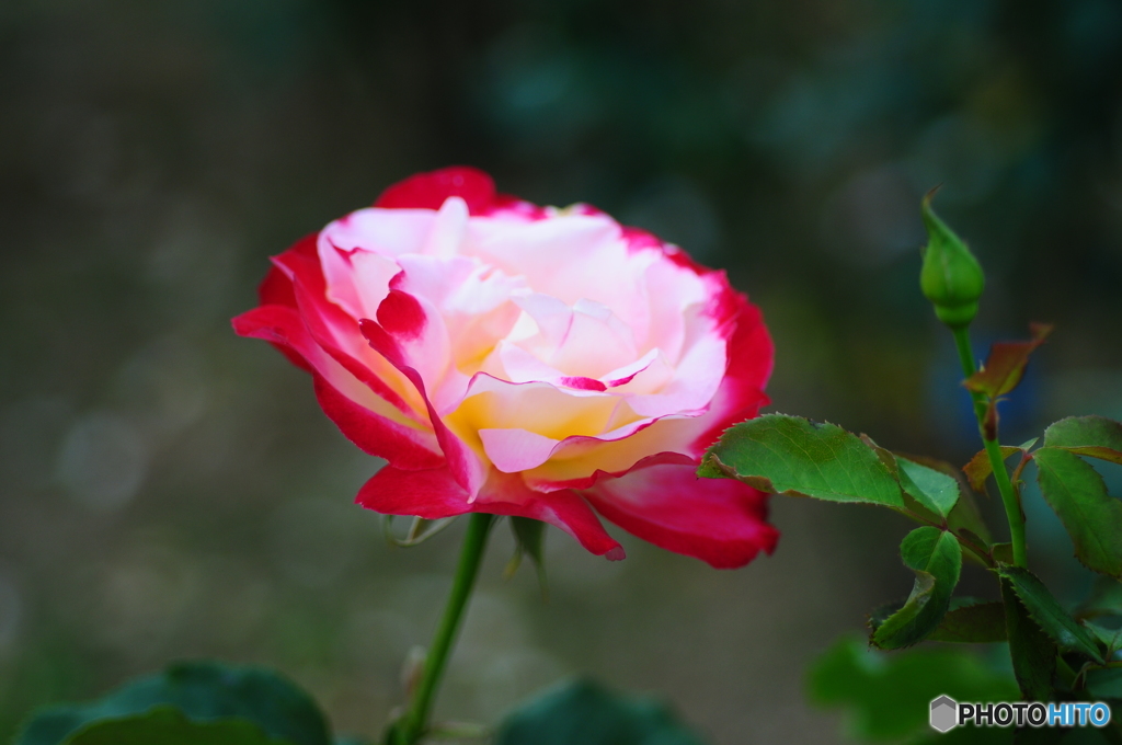 DSC_8843