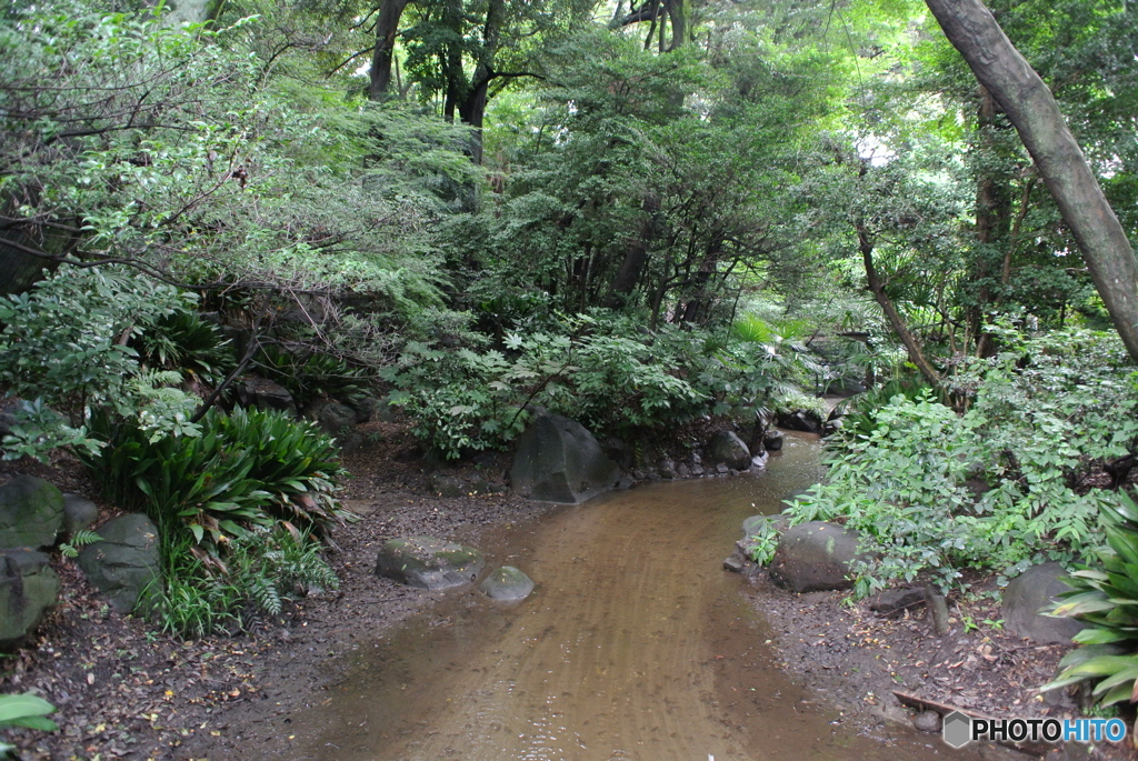 名主の滝公園