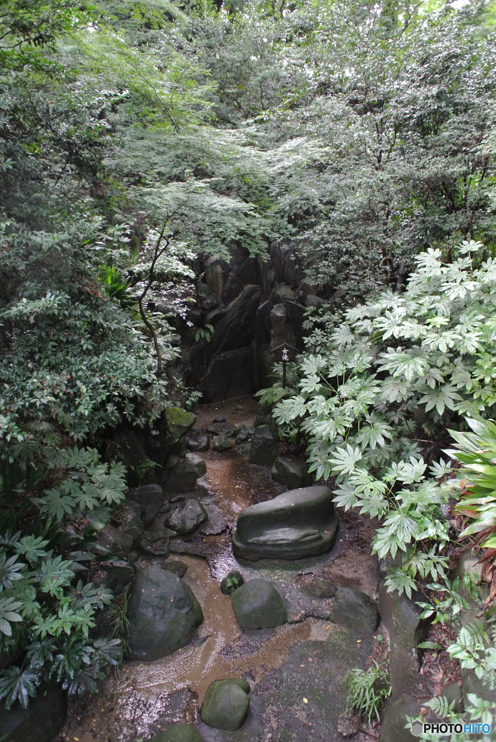 女滝