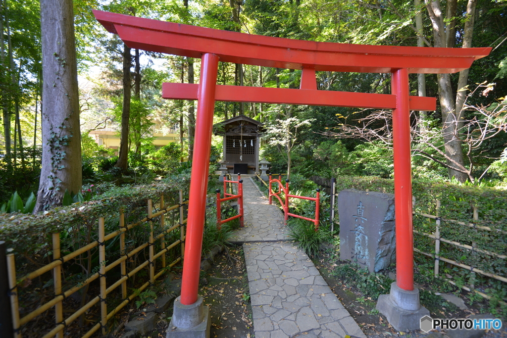真姿の池