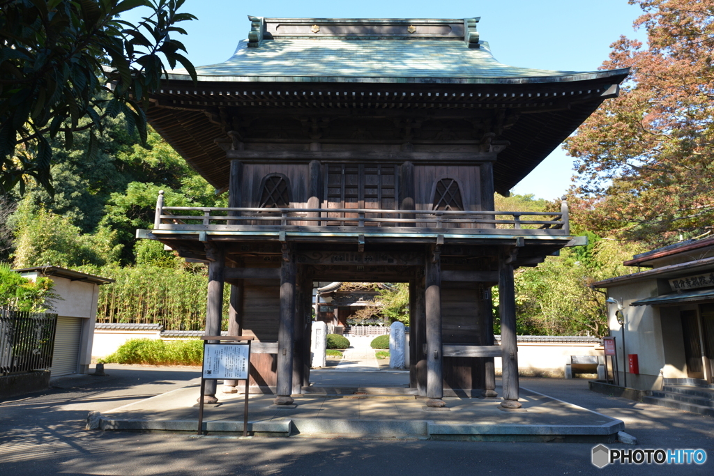 国分寺 楼門