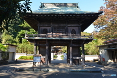 国分寺 楼門