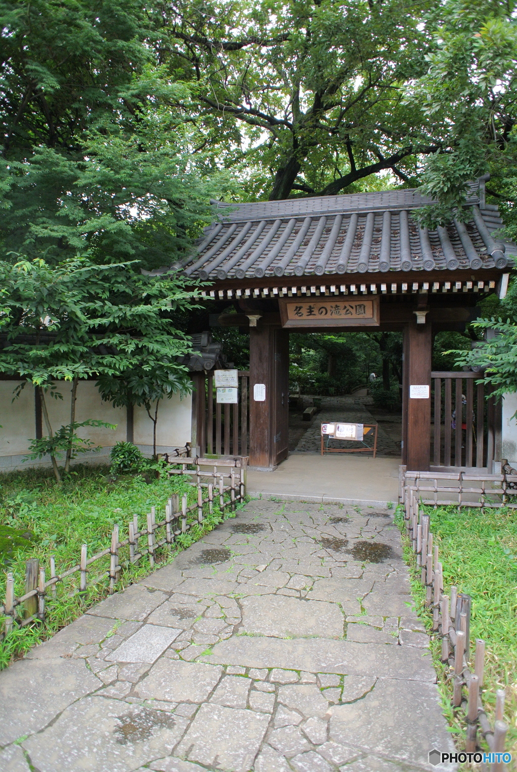 薬医門