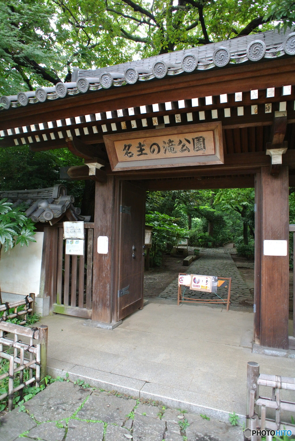 薬医門_2446