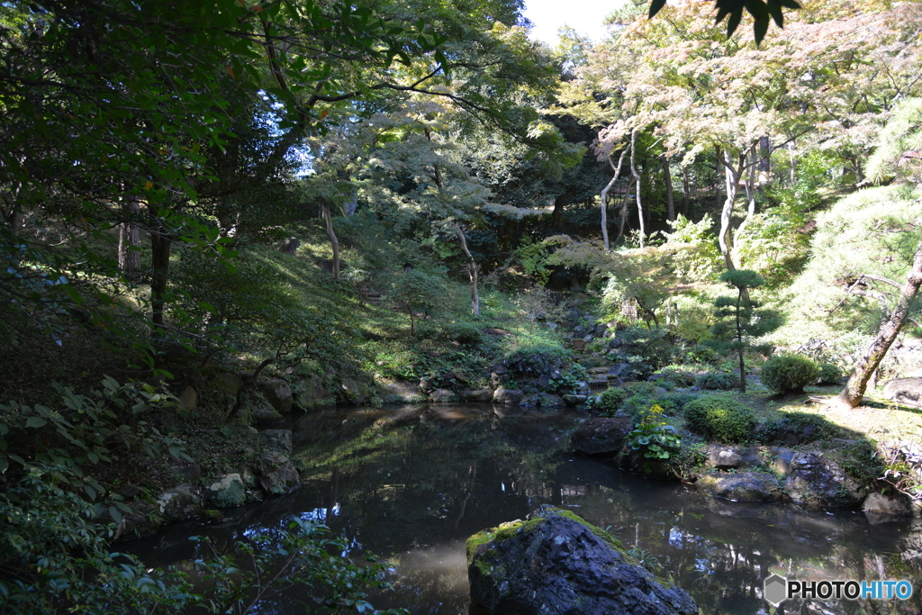 殿ヶ谷戸庭園Ⅱ