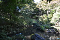 殿ヶ谷戸庭園Ⅱ