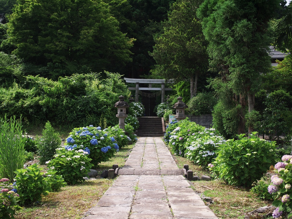 あじさい神社