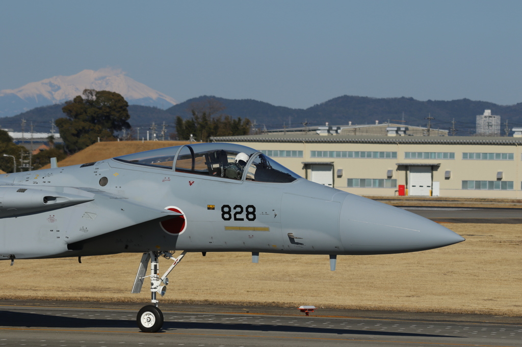 F-15J