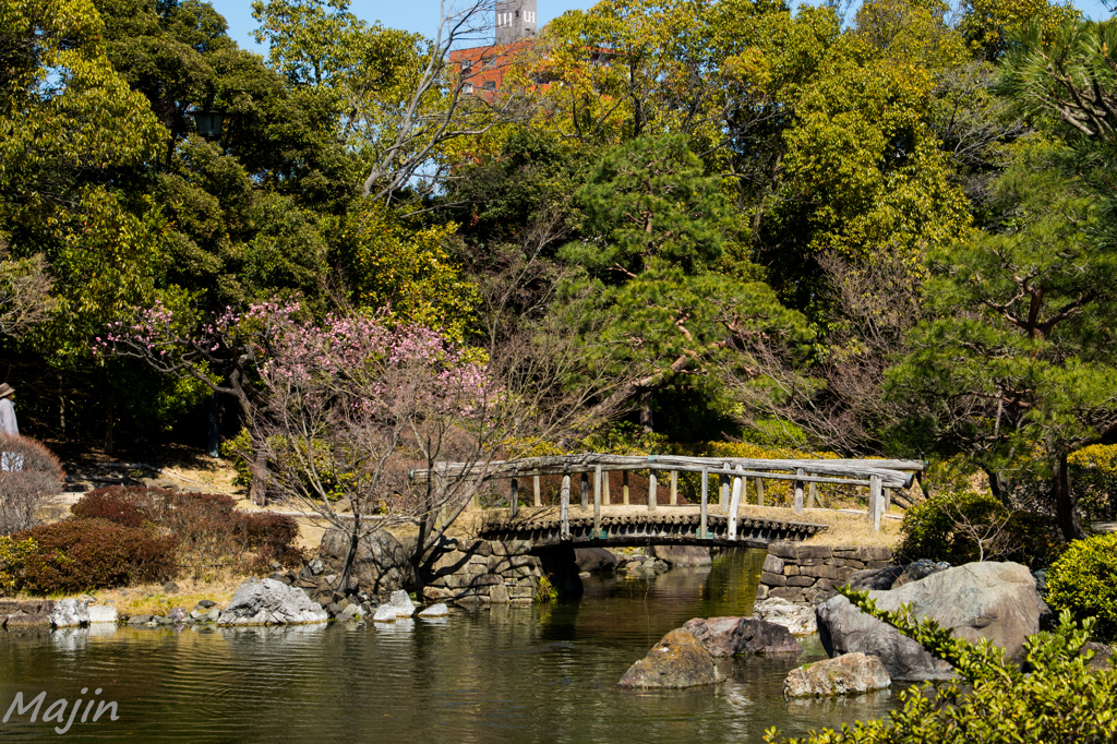 白鳥庭園①