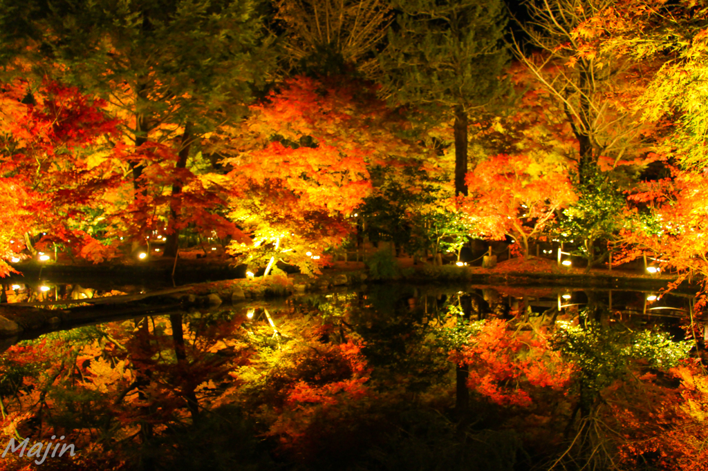 曽木公園
